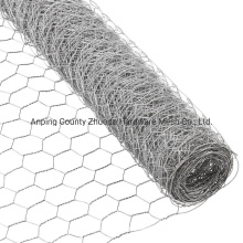 China 2019 Supply Amazon Galvanized Hexagonal Wire Netting Roll